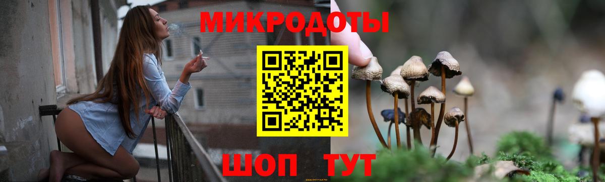 Липецк  Псилоцибиновые грибы ЛСД  Вход с VPN  Галлюциногенные грибы Psilocybe 